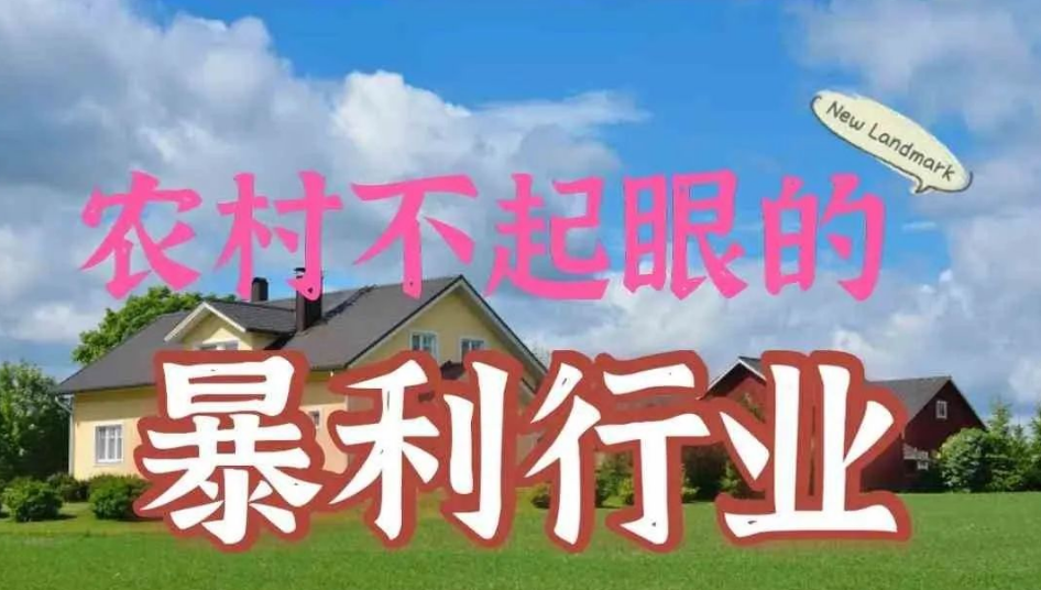 图片[1]-最适合农村创业的项目，可以考虑这十个项目!-阿志说钱