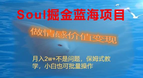 Soul软件掘金玩法，小众情感价值赚钱项目，持续稳定月入2W+-阿志说钱