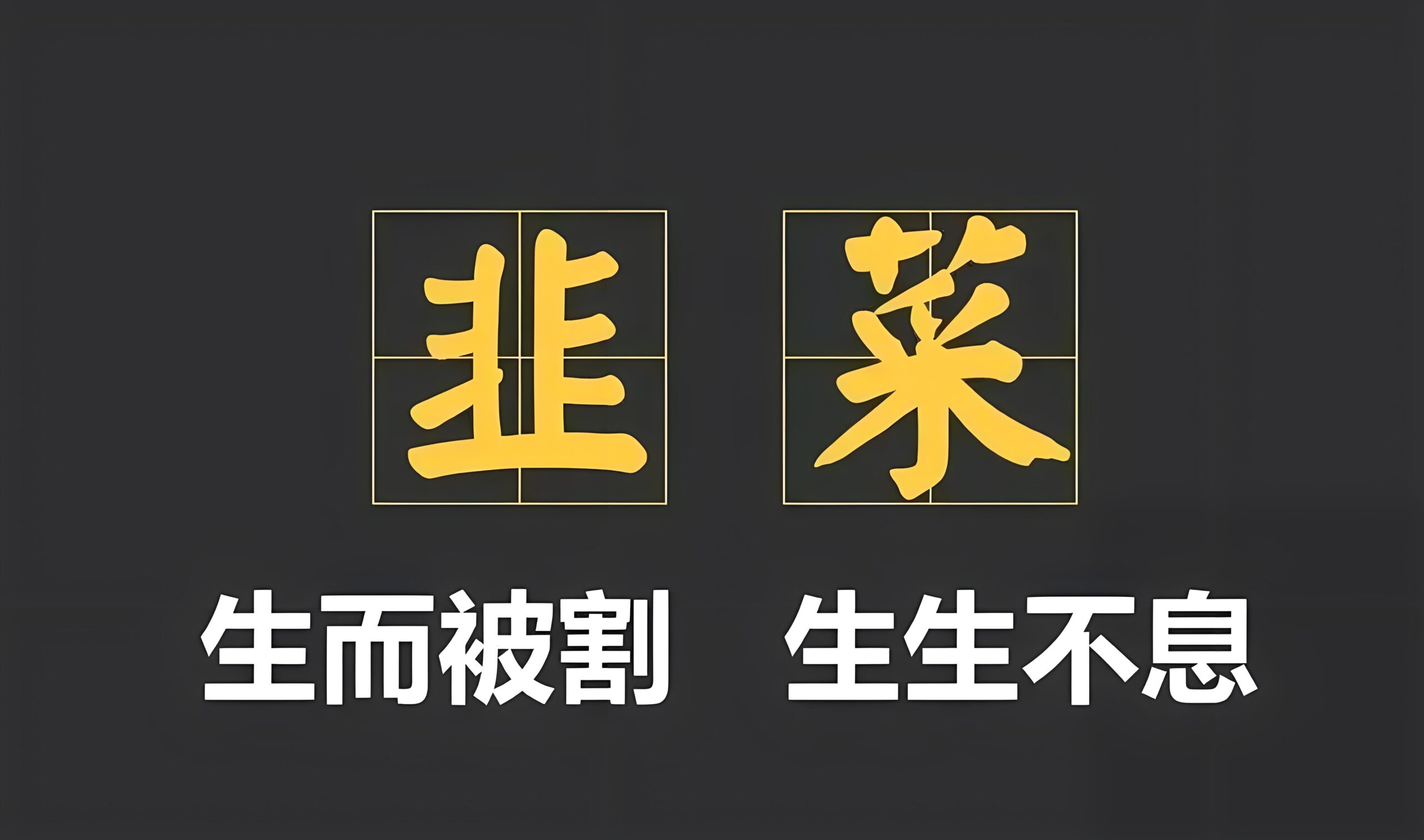 凡是收合伙人的几乎都是坑-阿志说钱