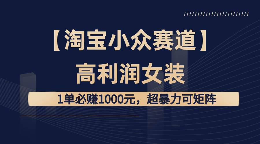 淘宝小众赛道揭秘：高利润女装1单必赚1000元，超暴力可矩阵化操作！-阿志说钱