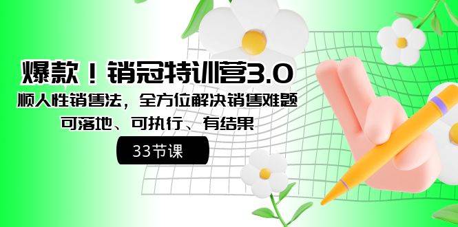 销冠特训营3.0：顺人性销售法，全方位解决销售难题，实用可行，取得显著成果！-阿志说钱