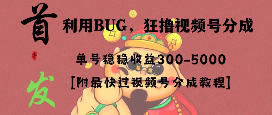 全网独家首发，解密视频号BUG，快速变现项目，每日单号净收益300-5000元！-阿志说钱