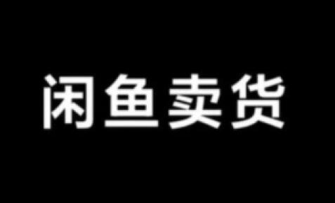 图片[1]-月入万元的闲鱼副业兼职项目，真的靠谱？-阿志说钱