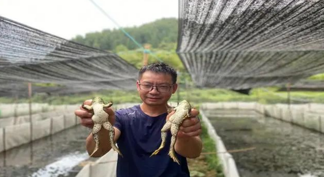 图片[3]-惊爆！农村新型冷门生意，只要有闲地，投资几万一年收入45万，想发财赶紧干！-阿志说钱