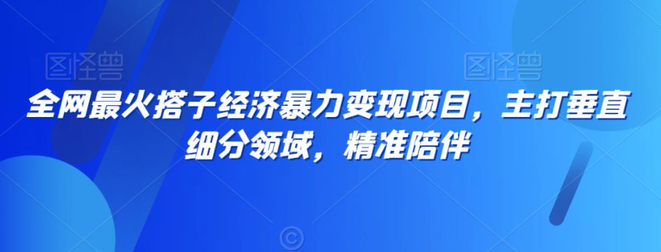 图片[1]-全网独家！搭子经济新风口，精准垂直细分搭子项目-阿志说钱