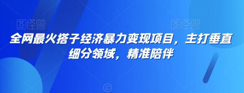 全网独家！搭子经济新风口，精准垂直细分搭子项目-阿志说钱