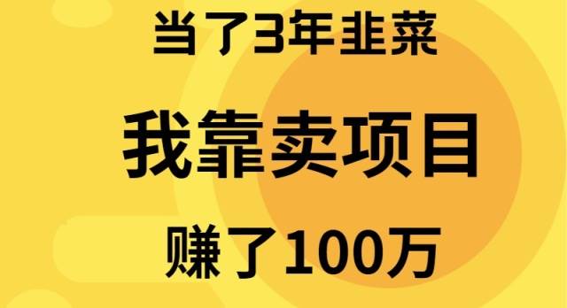 不再是任人割的韭菜：我靠卖项目翻转乾坤，三年赚得100万心得分享！-阿志说钱