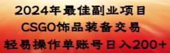 图片[1]-揭秘CSGO饰品装备交易，最佳副业项目让你边玩边赚！-阿志说钱