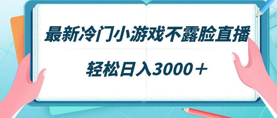 冷门小游戏不露脸玩法，场观爆表轻松赚，日入3000+-阿志说钱