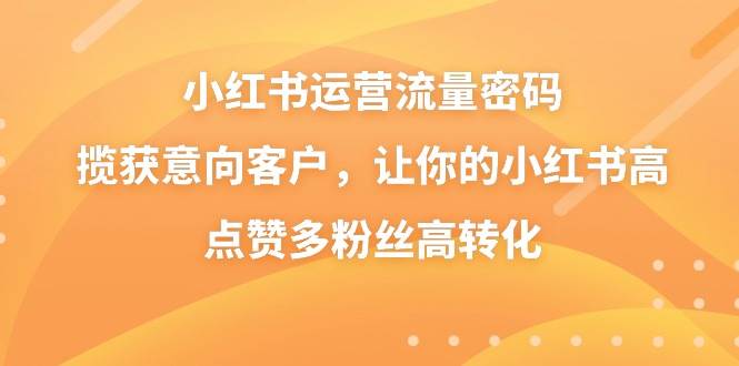 小红书运营秘籍：揭秘流量增长密码，吸引意向客户，点赞粉丝转化全攻略！-阿志说钱