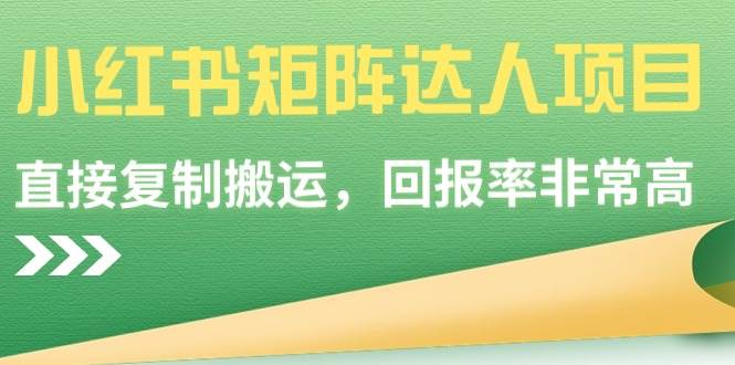 揭秘小红书矩阵达人项目：直接复制搬运，轻松赚取高回报！-阿志说钱