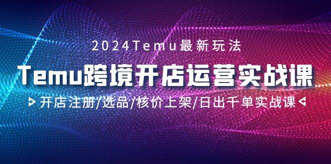 2024年必修课程：Temu跨境开店运营实战，从零到日销千单攻略！-阿志说钱