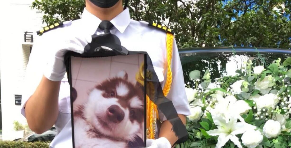 图片[3]-冷门的暴利行业！未来10年大爆发，本小利大，接一单能赚3-5万元！-阿志说钱
