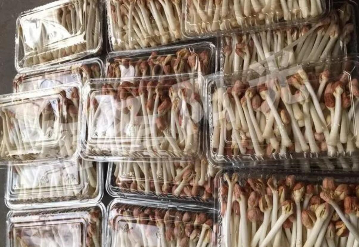 图片[2]-　农村冷门暴利生意：返乡创业，投资3万，年赚30万的农村小型加工项目-阿志说钱