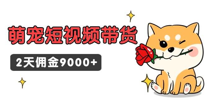 图片[1]-两天9000+佣金，萌宠短视频带货究竟有何魔力？揭秘背后的赚钱逻辑！-阿志说钱
