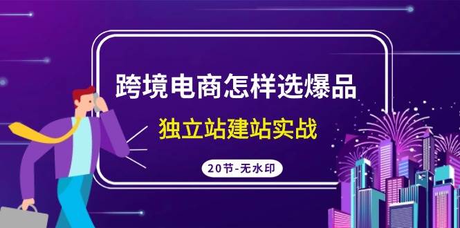 跨境电商爆品选择与独立站搭建教程，20节专业高清视频课程！-阿志说钱