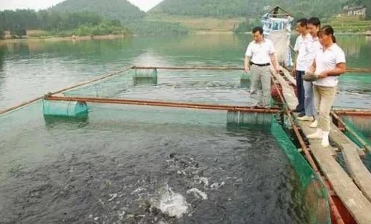 图片[3]-年入10万+不再是梦？农村9大赚钱项目，哪个最适合你逆袭成功？-阿志说钱