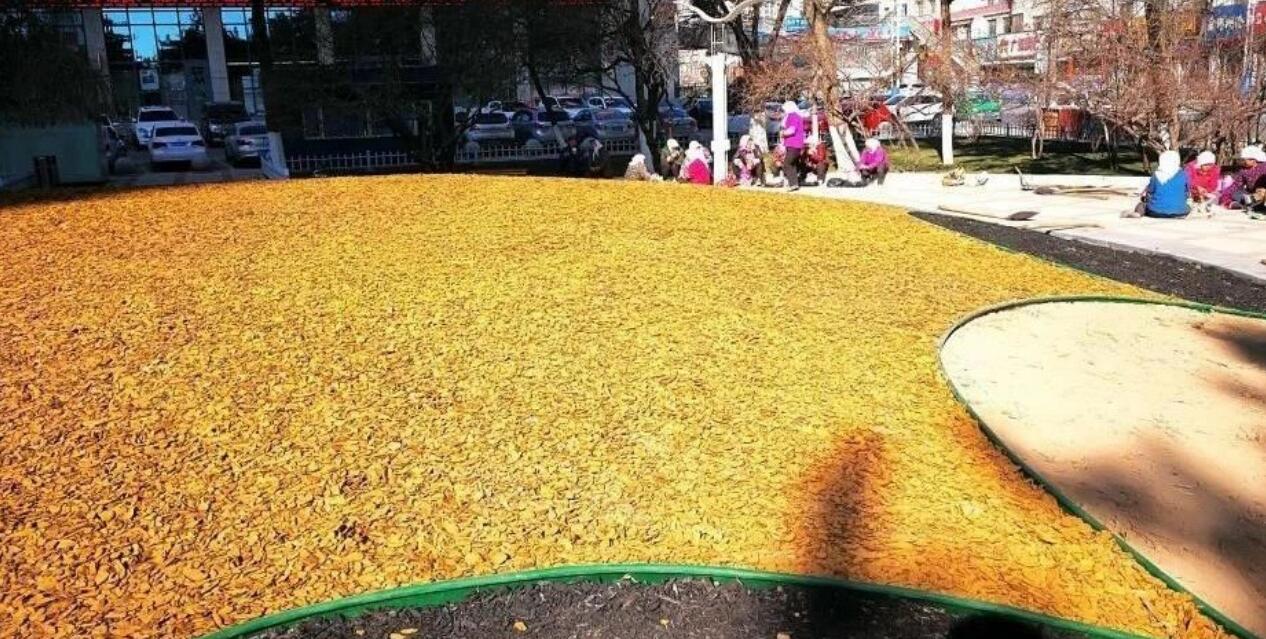 图片[3]-她曾是外贸公司女白领，如今农村0成本，年挣75万的农村冷门暴利项目，只要有时间就可以做！-阿志说钱