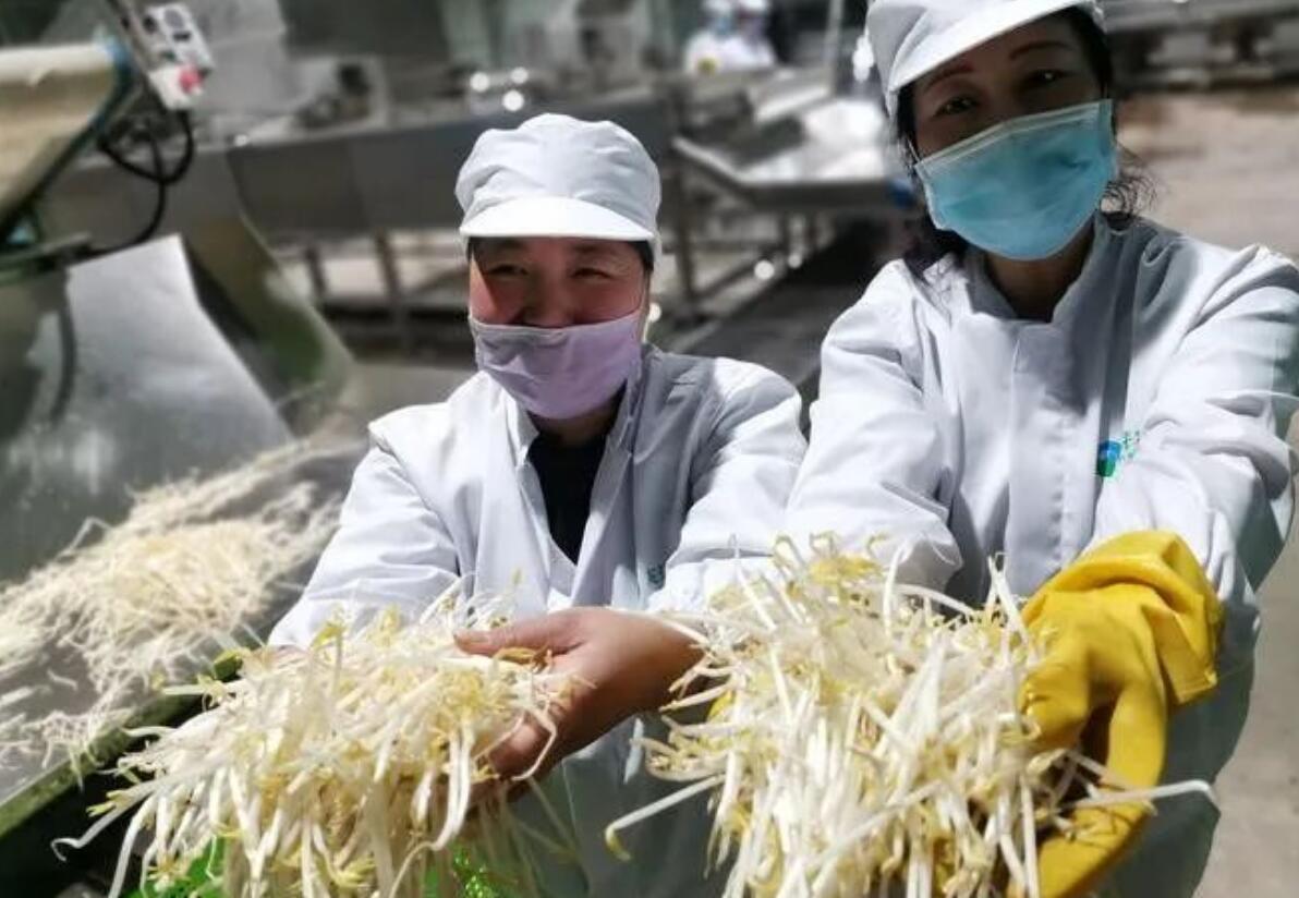 图片[3]-　农村冷门暴利生意：返乡创业，投资3万，年赚30万的农村小型加工项目-阿志说钱