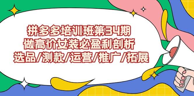 拼多多高价女装盈利攻略：第34期培训营（深入剖析选品、测款、运营、推广及拓展策略）-阿志说钱