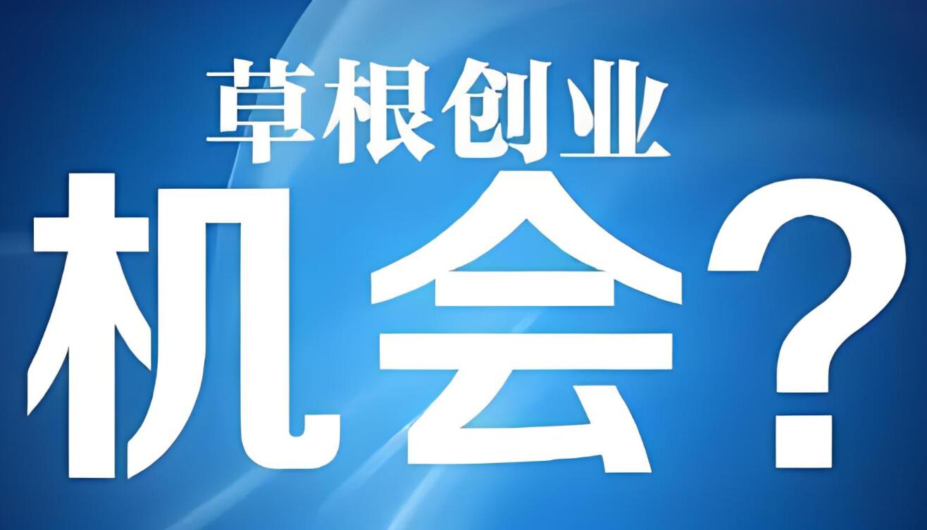 图片[1]-揭秘网上创业新趋势：全攻略带你灵活就业，轻松赚钱！-阿志说钱