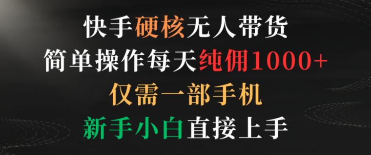 快手硬核无人带货，轻松上手日赚千元！仅需一部手机，新手小白也能快速掌握！-阿志说钱