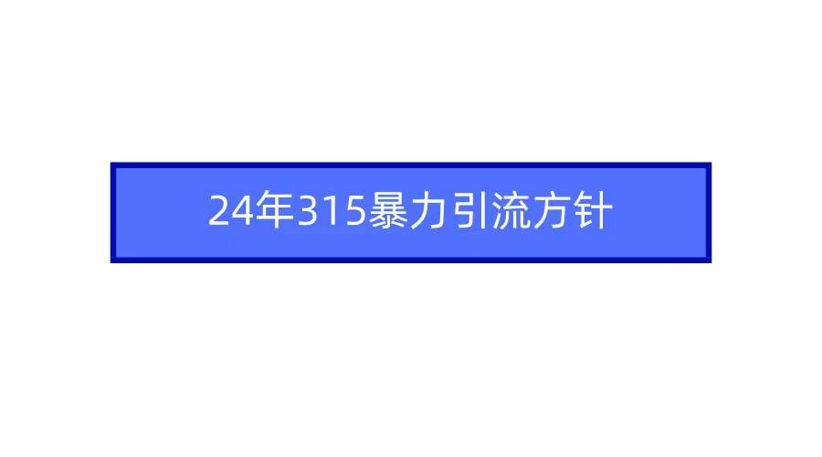 揭秘2024年315暴力引流策略，抢占流量先机！-阿志说钱