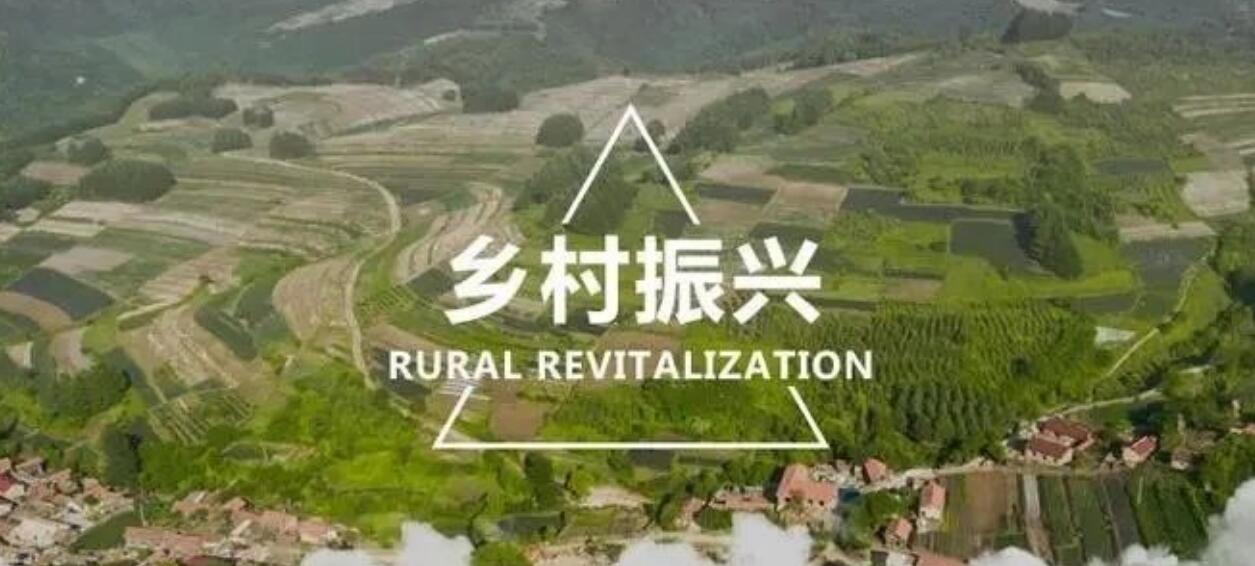 图片[1]-穷人如何赚到100万，五大暴利项目助您轻松赚取百万，真实案例见证成功之路！-阿志说钱
