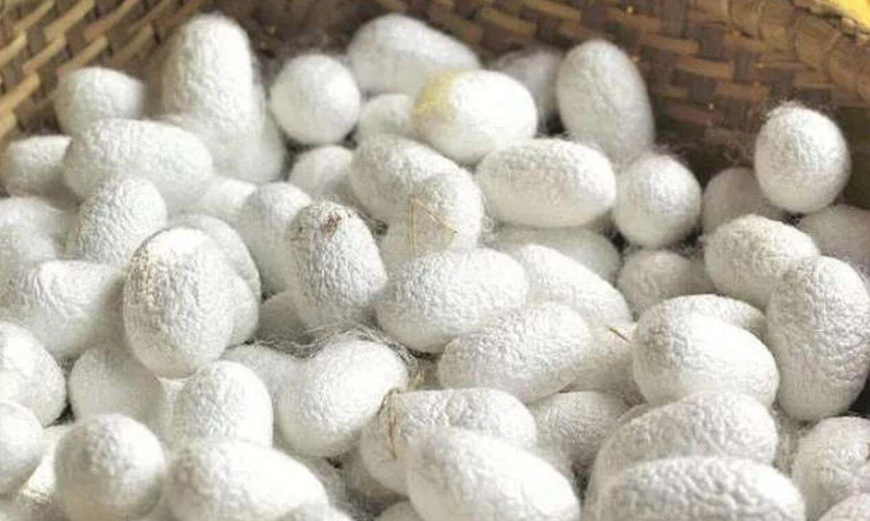 图片[2]-农村暴利生意，夫妻两人就可以干，一年能赚30w，比打工强太多。投资少，利润大，周期短，回本快。-阿志说钱