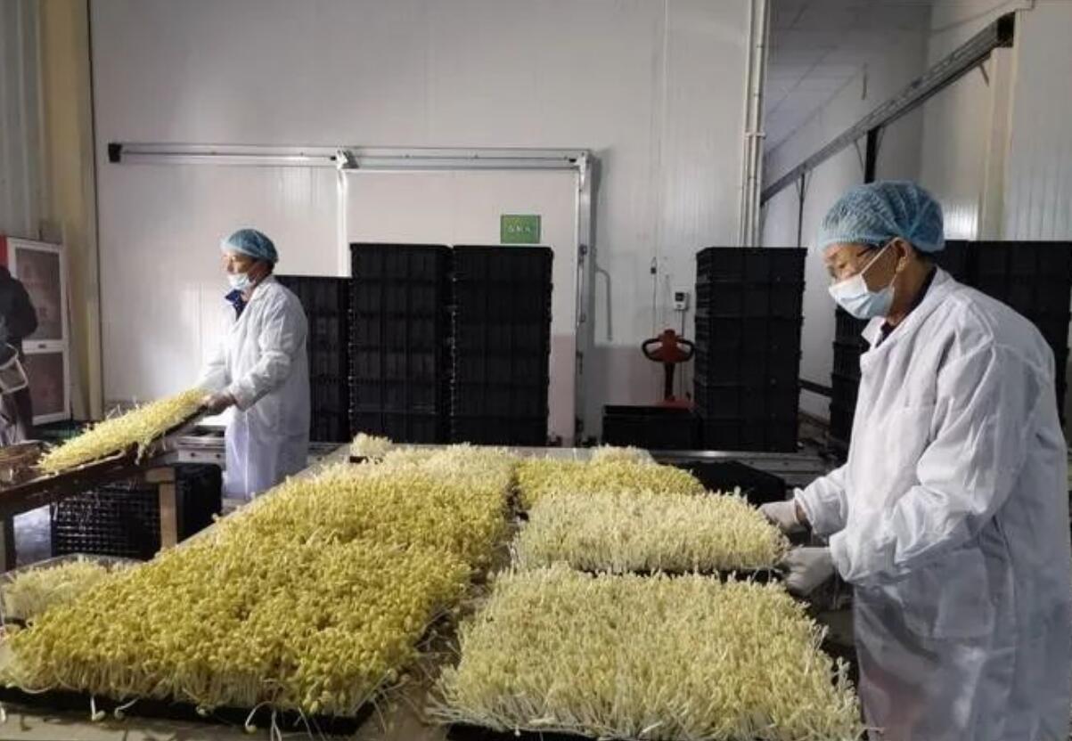 图片[1]-　农村冷门暴利生意：返乡创业，投资3万，年赚30万的农村小型加工项目-阿志说钱
