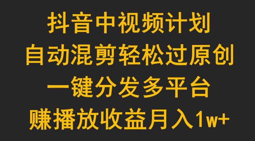 抖音中视频计划月入过万，轻松实现短视频收益增长！-阿志说钱