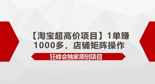 【淘宝高利润项目揭秘】单笔收益超千元，店铺矩阵操作技巧全解析-阿志说钱