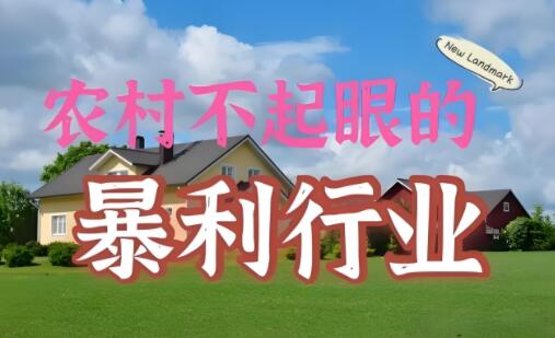 图片[1]-农村冷门好项目有哪些（4个农村冷门创业项目）-阿志说钱