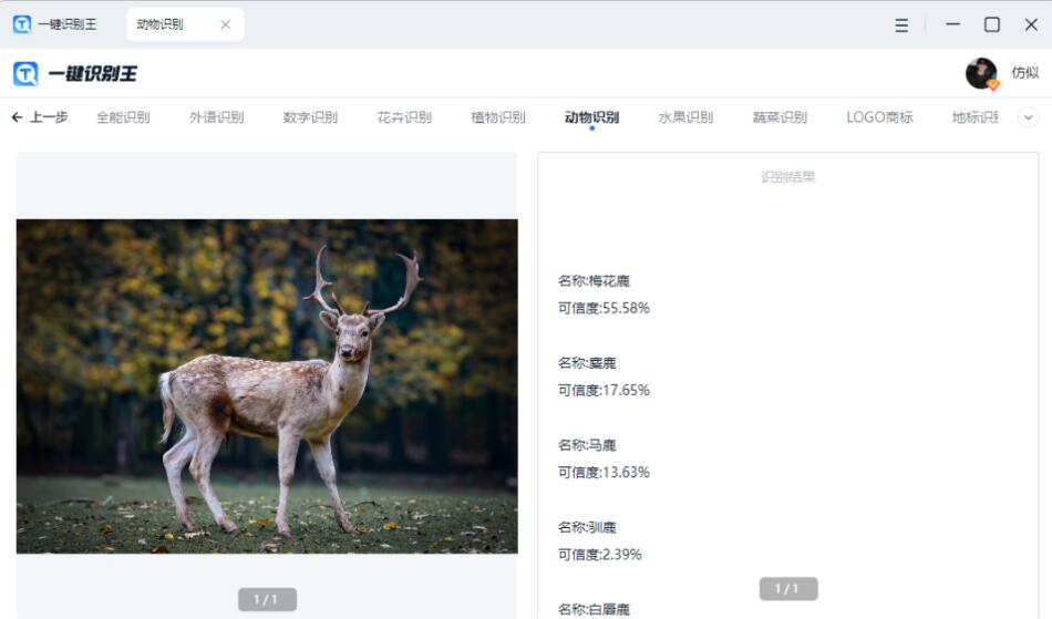 图片[3]-动物面部识别太黑科技了！分享3个工具教你认识更多动物-阿志说钱