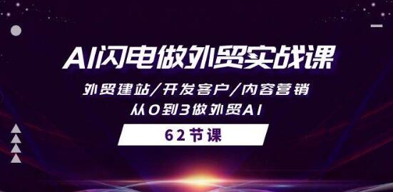 Al闪电外贸实战课：从零到精通，外贸建站、客户开发、内容营销一站式教学-阿志说钱