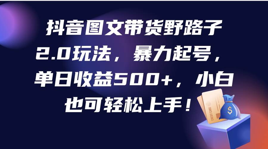 抖音图文带货野路子2.0玩法实战，快速起号日入500+，新手也能轻松上手！-阿志说钱