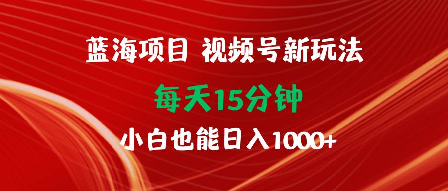 蓝海项目视频号项目玩法，每天仅需15分钟，小白也能轻松实现日入1000+-阿志说钱