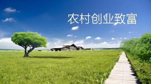 图片[1]-2024农村致富项目，乡镇8个未来十大暴利行业，农村创业新点子-阿志说钱