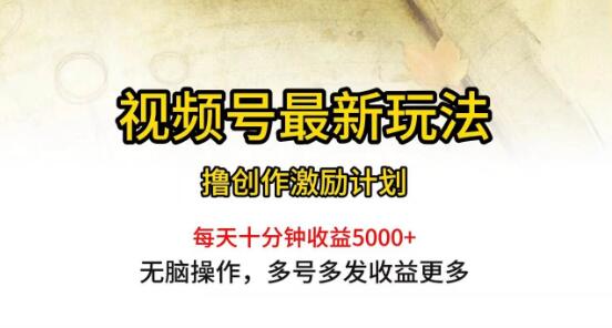 视频号运营新策略：每日一小时，轻松实现月收入5000+-阿志说钱