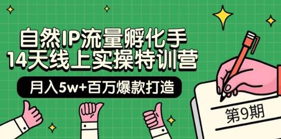 自然IP流量孵化实操特训营：14天线上打造百万爆款，零基础也能快速上手-阿志说钱