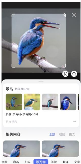 图片[4]-动物面部识别太黑科技了！分享3个工具教你认识更多动物-阿志说钱