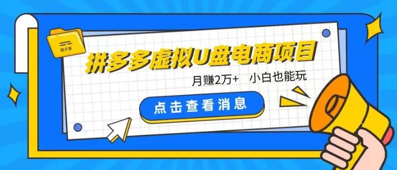 拼多多虚拟U盘电商项目玩法，轻松月入2万+，新手也能快速上手-阿志说钱