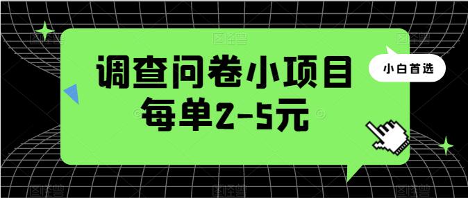 问卷调查小项目，每个2-5元，日入50-100零花钱，简单又便捷！-阿志说钱