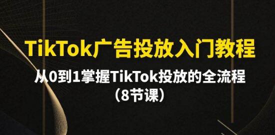 TikTok广告投放新手教程：从零开始，掌握全流程投放技巧-阿志说钱