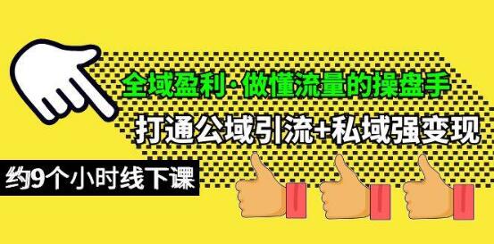 全域盈利秘诀，精通流量操盘，打通公域引流与私域变现新路径-阿志说钱