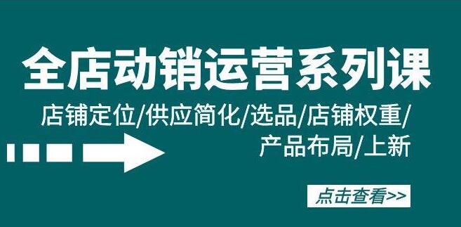 图片[1]-全店动销实战课，精准定位·简化供应·高效选品·提升权重·优化产品·上新策略-阿志说钱