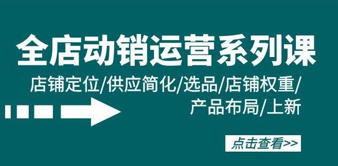 全店动销实战课，精准定位·简化供应·高效选品·提升权重·优化产品·上新策略-阿志说钱