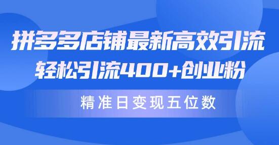 图片[1]-拼多多店铺高效引流秘笈：轻松吸引400+创业粉丝，精准日变现五位数！-阿志说钱
