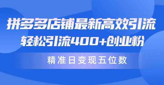 拼多多店铺高效引流秘笈：轻松吸引400+创业粉丝，精准日变现五位数！-阿志说钱