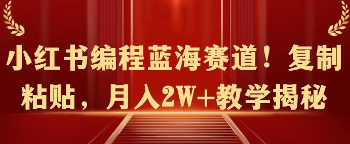 图片[1]-小红书编程蓝海赛道揭秘：轻松复制粘贴，月入2W+教学全攻略！-阿志说钱